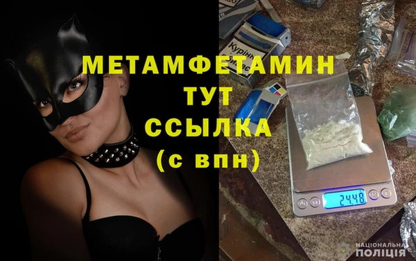 прущие грибы Верхний Тагил